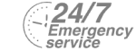 24/7 Emergency Service Pest Control in South Woodford, E18. Call Now! 020 8166 9746