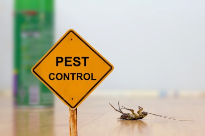 Pest Contol in South Woodford, E18. Call Now 020 8166 9746