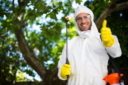 24 Hour Pest Control, Pest Control in South Woodford, E18. Call Now 020 8166 9746