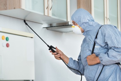 Home Pest Control, Pest Control in South Woodford, E18. Call Now 020 8166 9746